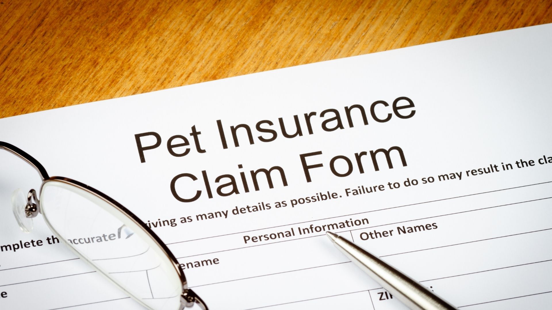 The most important reasons for you to insure your pet