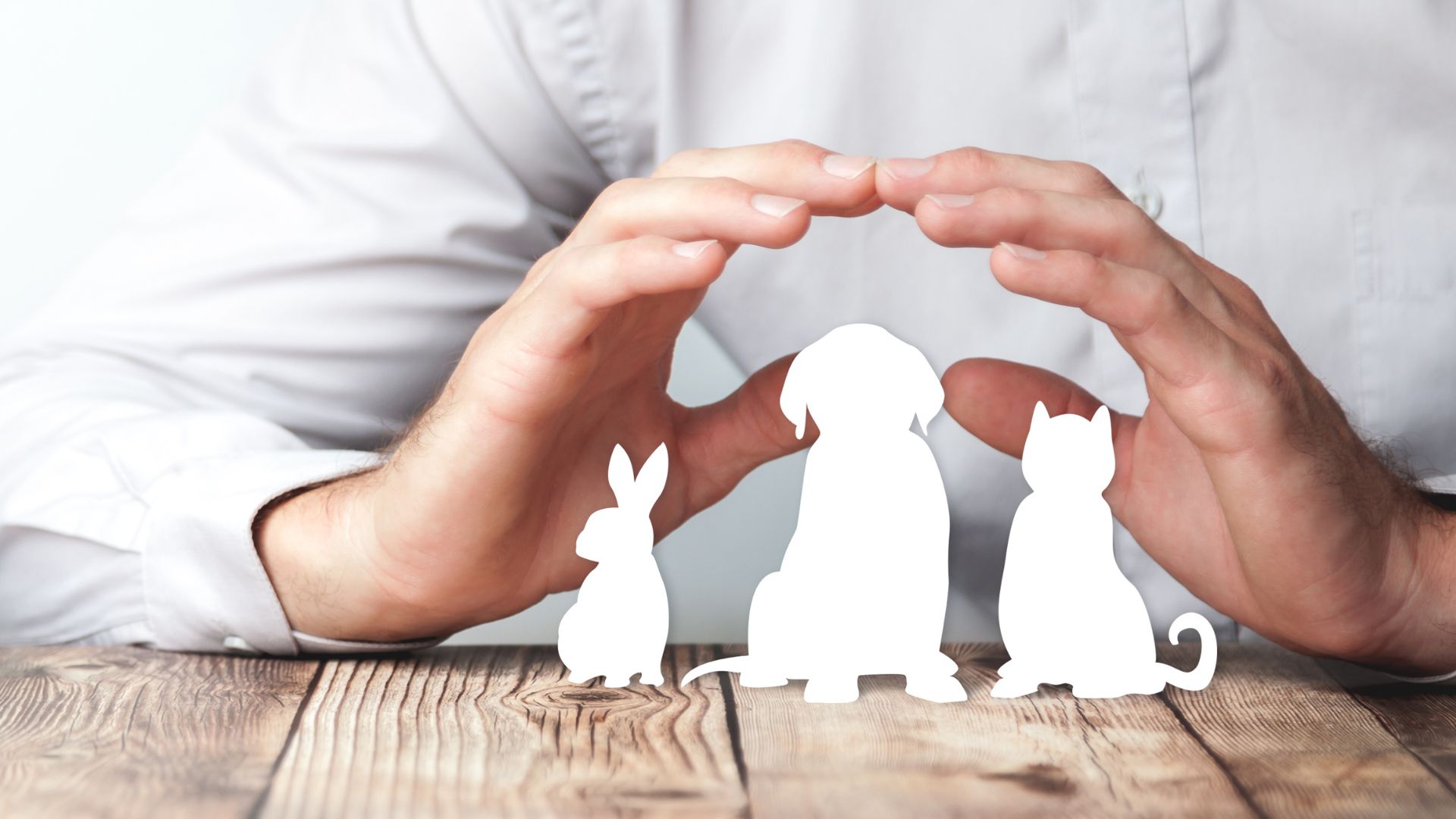 What Exactly IS Nationwide Pet Insurance!